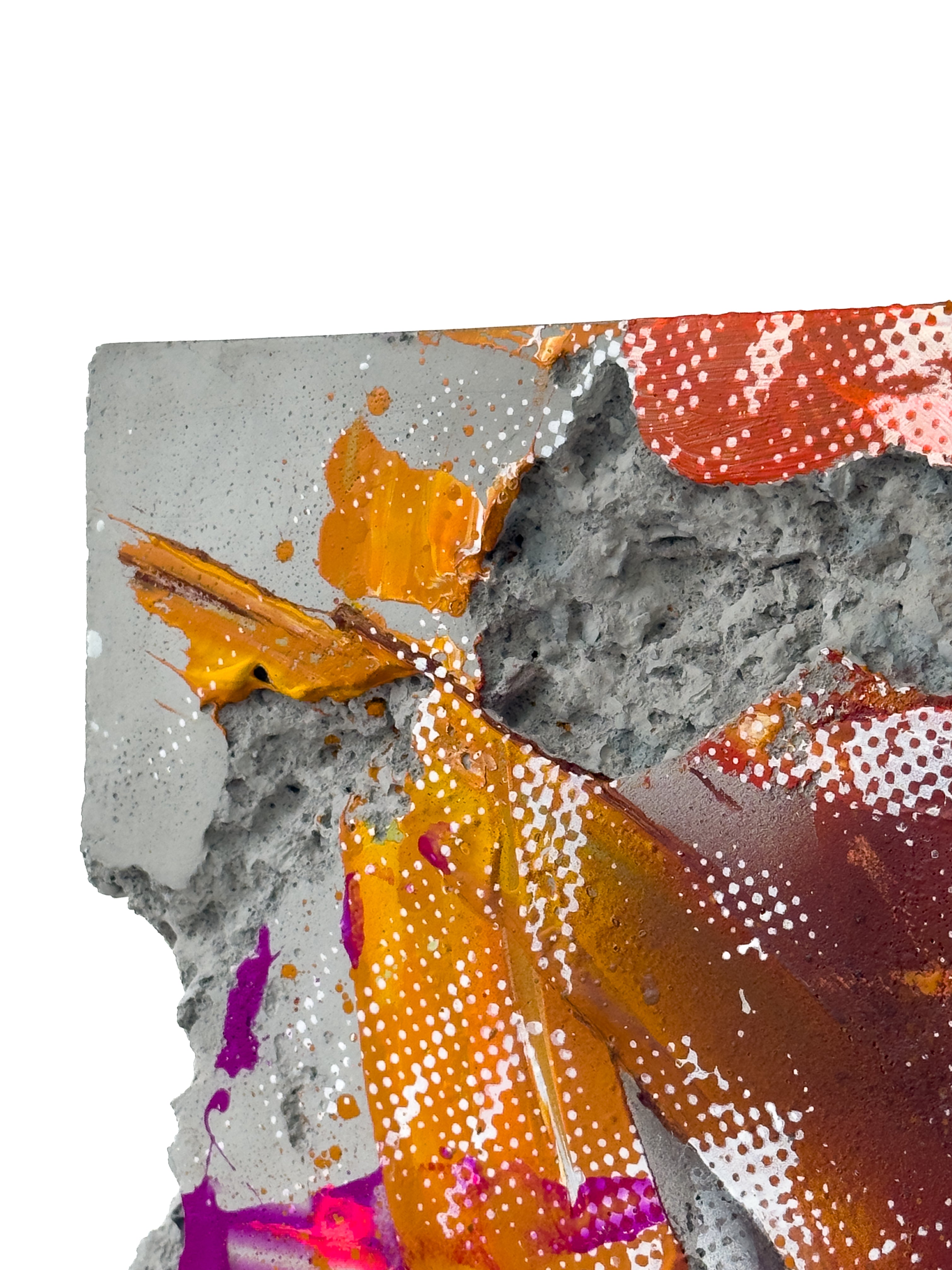 The First Layer _ Freelove