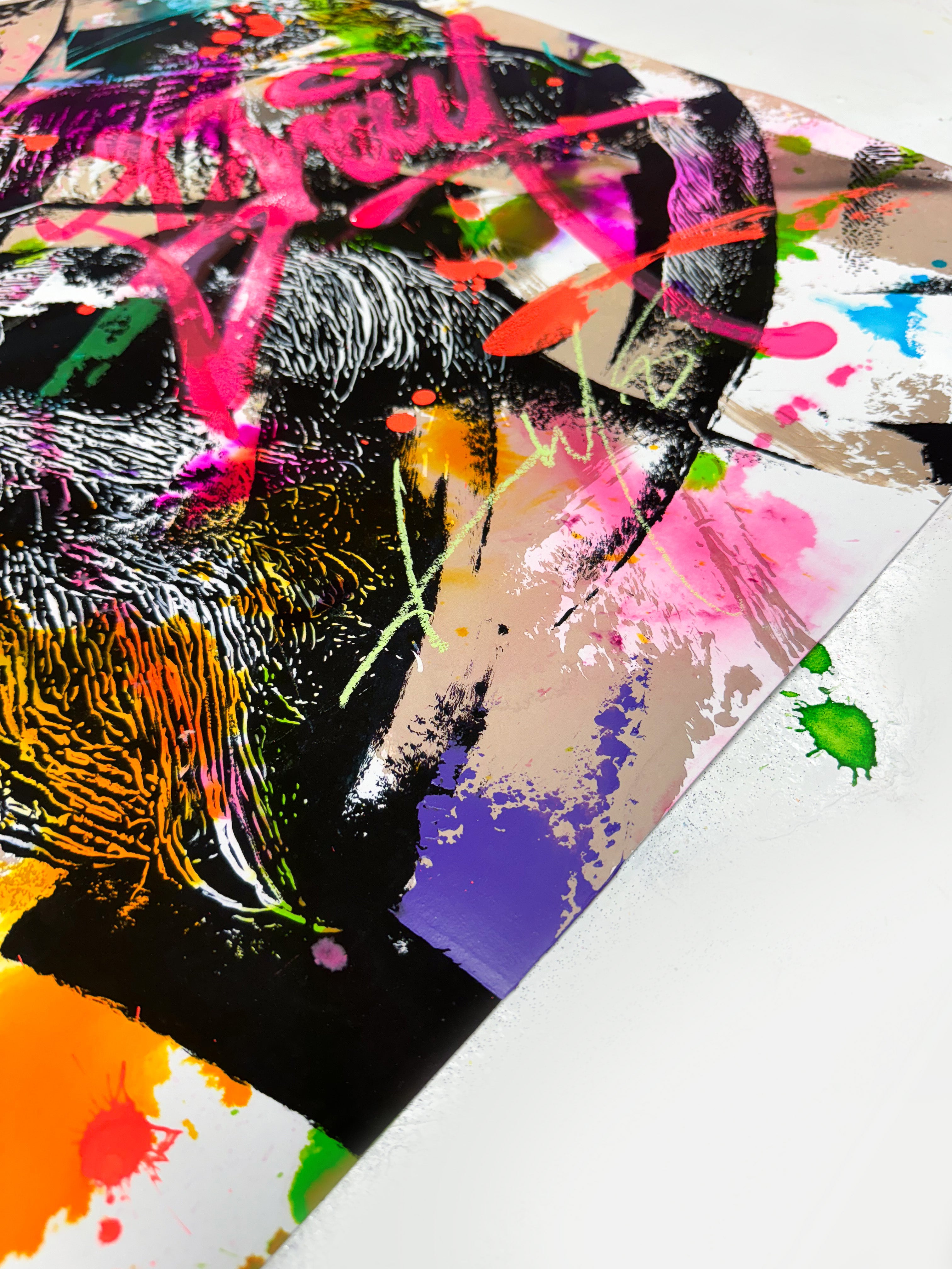 'Explorer'_'Urban Roots' variation.